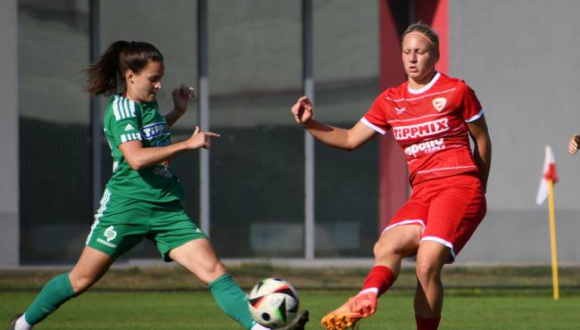 dvtk-etofcgyor_simplenoiliga_2_22.jpg